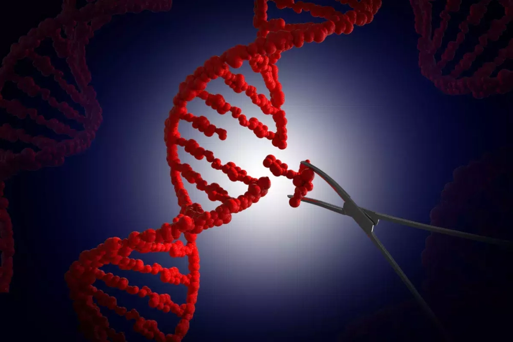 Chỉnh sửa gene sinh học thúc đẩy tiến bộ khoa học