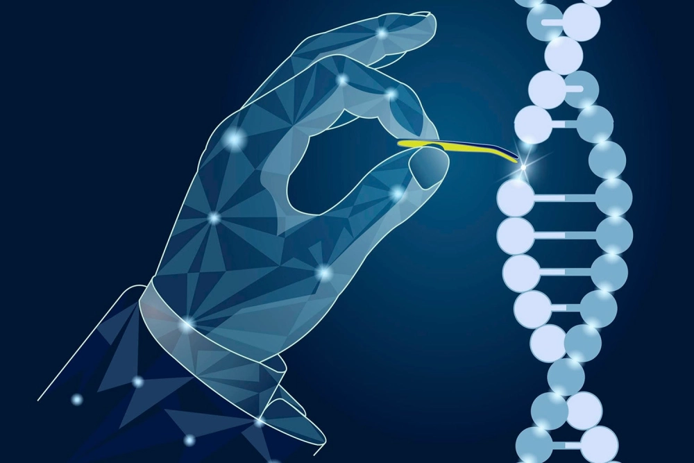 Chỉnh sửa gene động vật nâng cao nghiên cứu sinh học