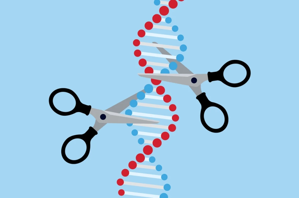 Chỉnh sửa gene là gì giải mã bí mật sự sống