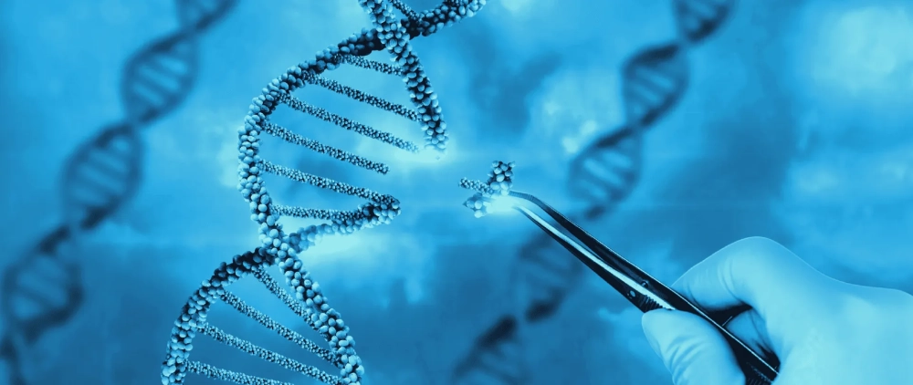 Chỉnh sửa gene hiện đại tăng độ chính xác can thiệp