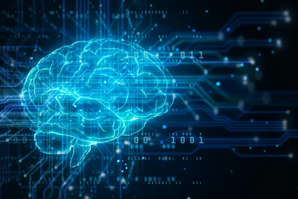 Não nhân tạo hoạt động như thế nào luôn gây tò mò