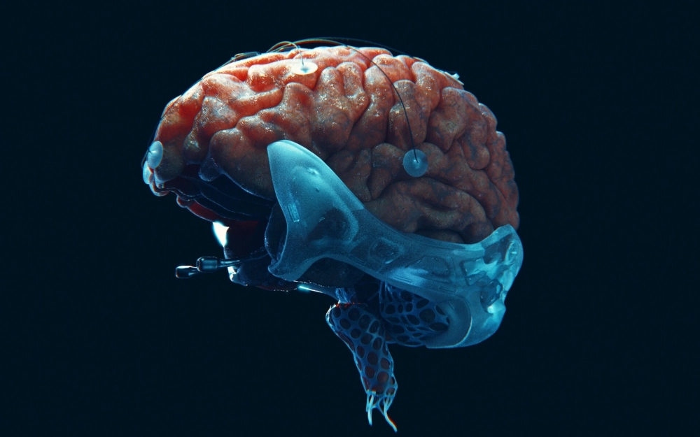 Não nhân tạo và trí tuệ nhân tạo song hành phát triển