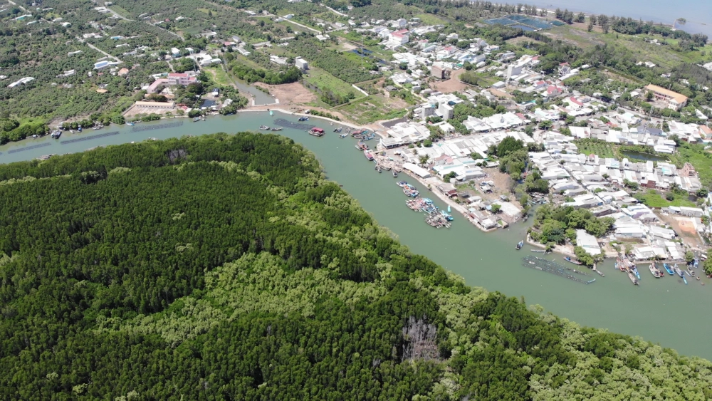 Rừng ngập mặn Cần Giờ TPHCM lá phổi xanh