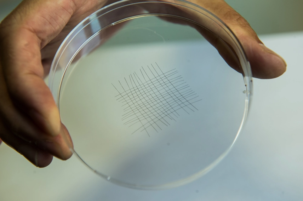 Vật liệu graphene tiềm năng thay đổi thế giới