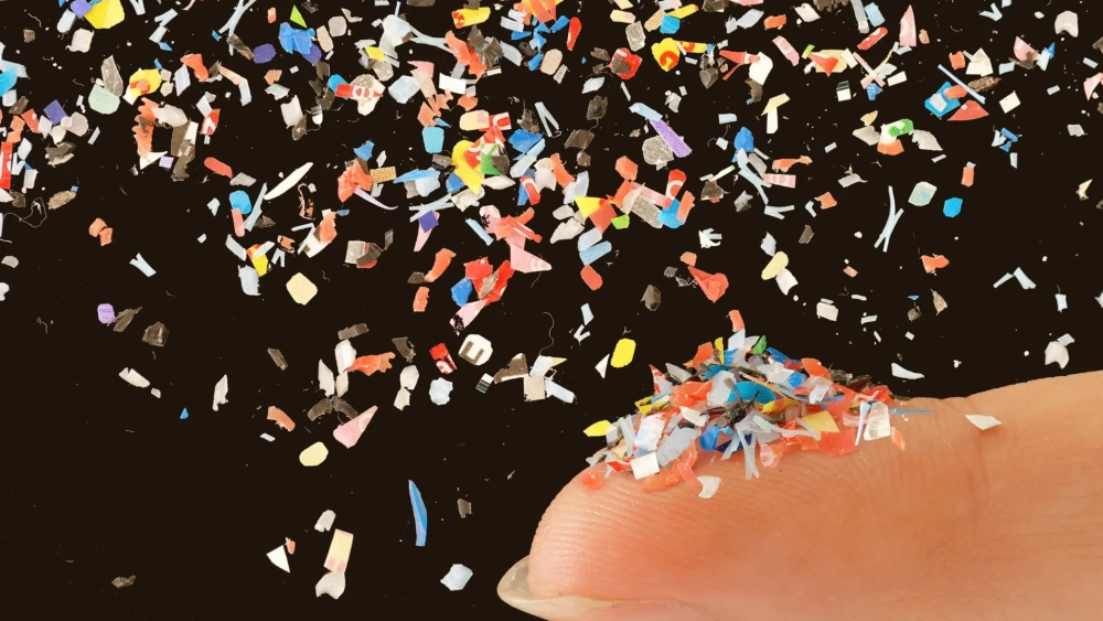 Vi nhựa trong môi trường đe dọa hệ sinh thái