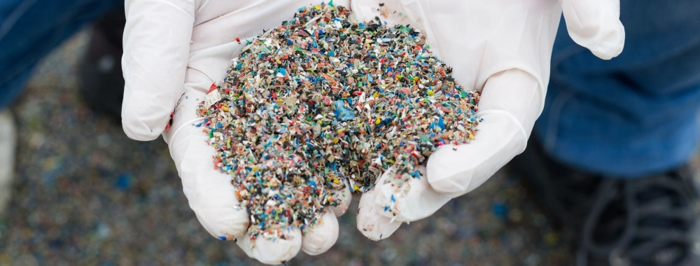 Vi nhựa nghiên cứu khoa học ngày càng cấp thiết