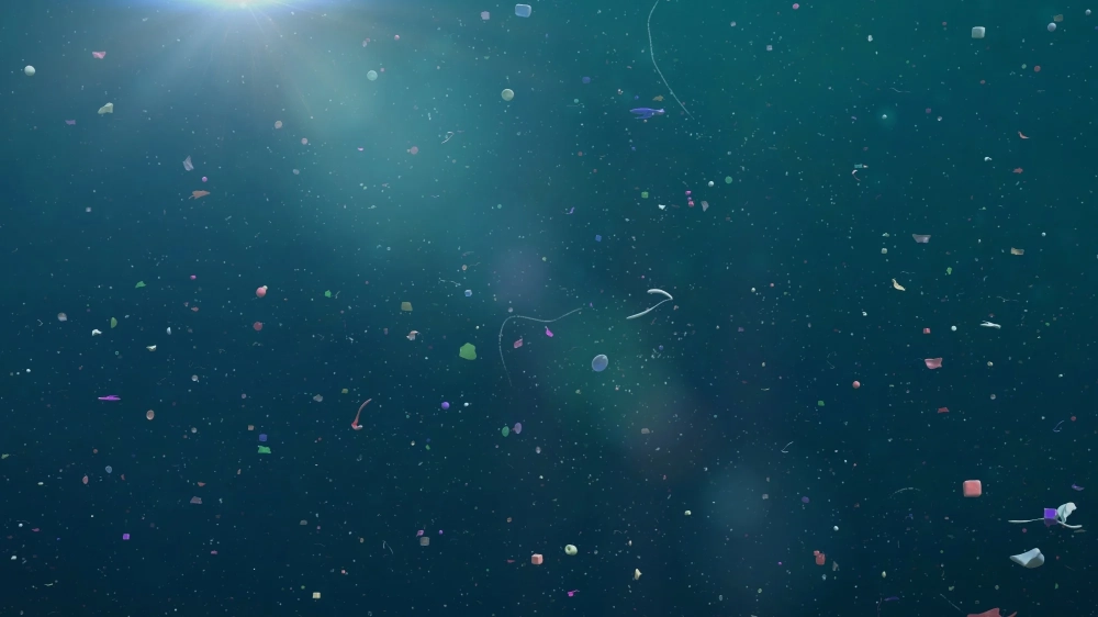 Vi nhựa trong đại dương hủy hoại sinh vật biển