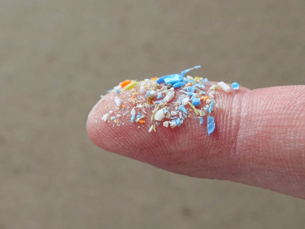 Vi nhựa là gì câu hỏi lớn của môi trường