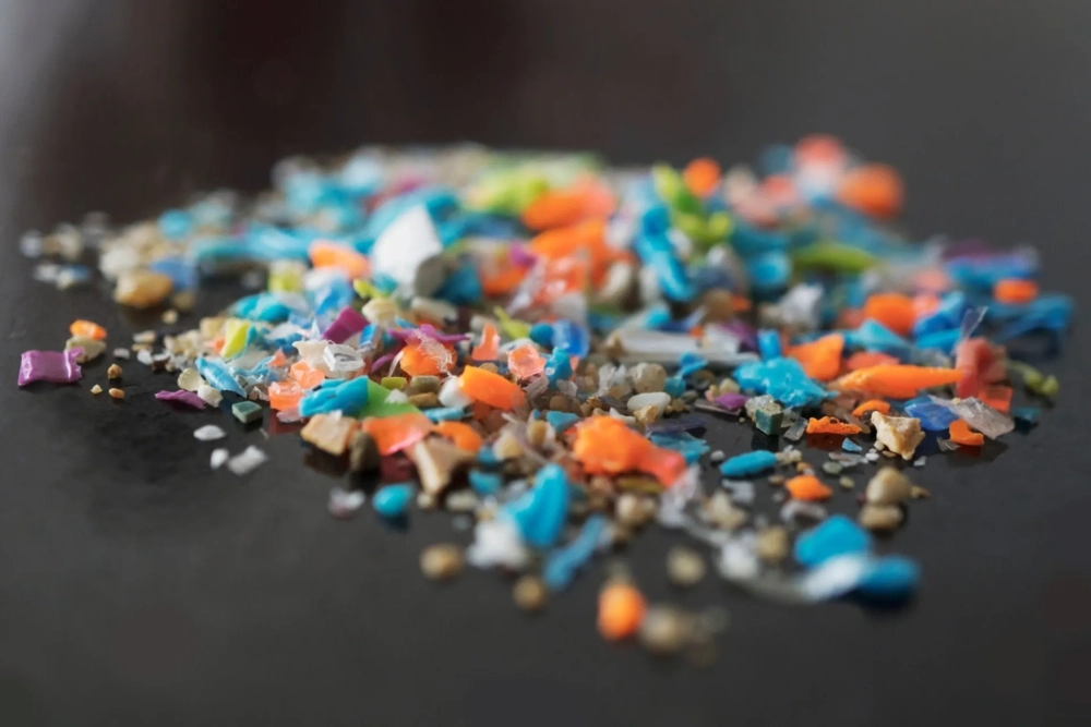 Vi nhựa và sinh thái mất cân bằng nghiêm trọng