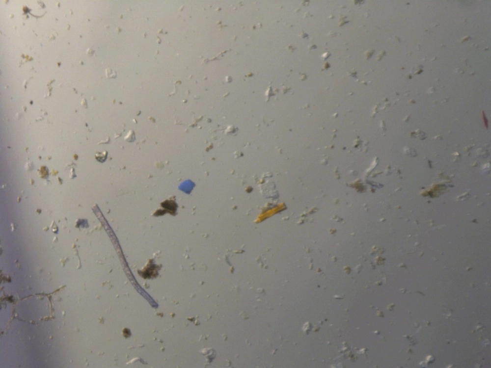 Vi nhựa trong không khí ta hít thở mỗi ngày